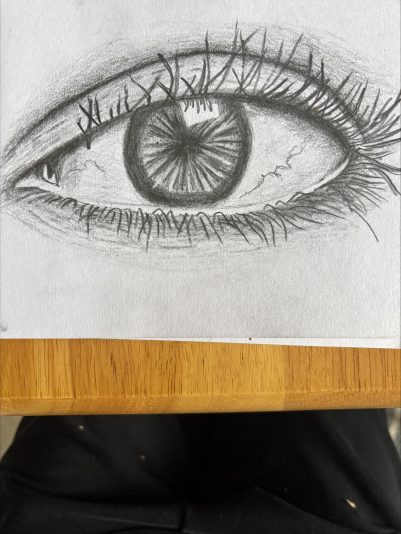 Eye Skill Test pic 2 20260112