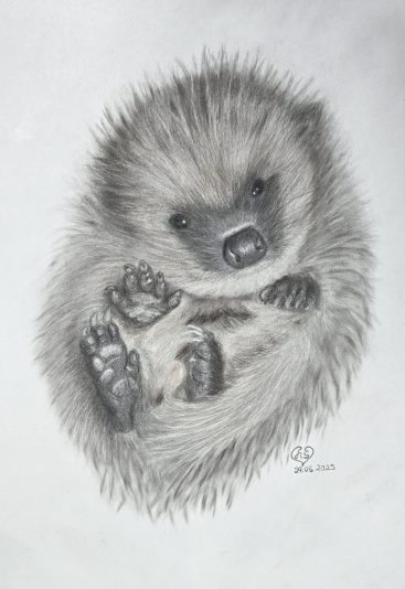 20250629_111041(1)_1