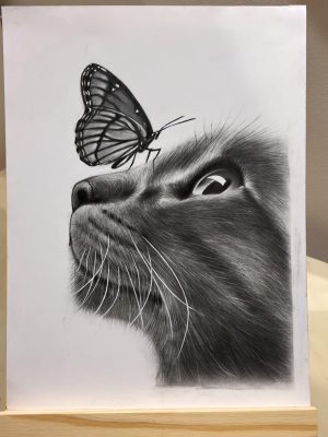 6C5F2752-0CE6-46DB-9B2D-4A389DA9807D