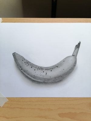 WhatsApp Image 2026-01-26 at 2.41.46 PM