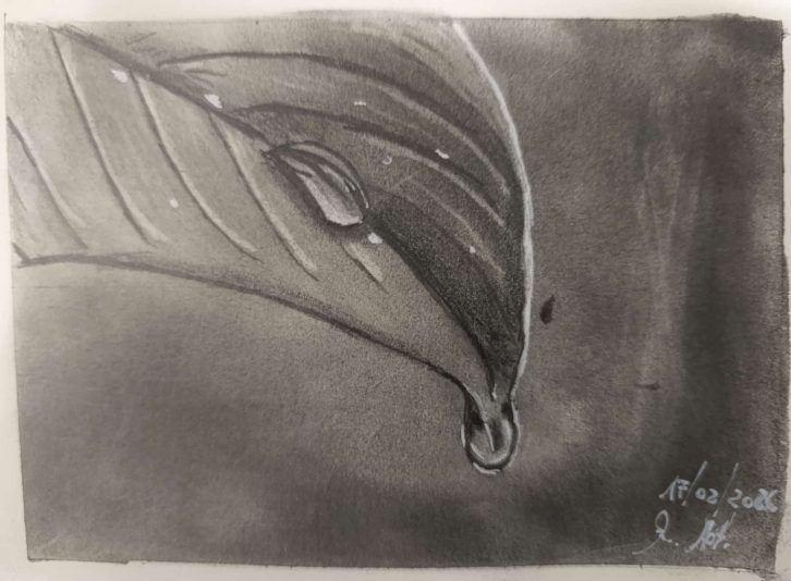 WhatsApp Image 2026-02-17 at 18.42.33