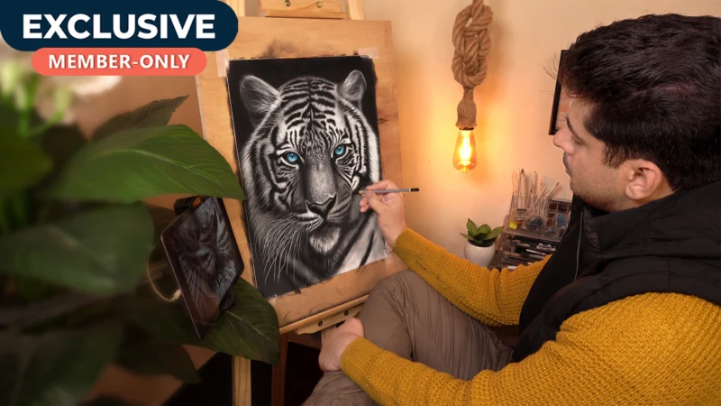 Drawing Realistic Tiger using Charcoal Pencils!
