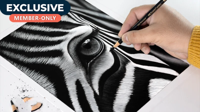 Close-up Zebra Drawing!