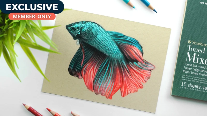 Drawing Betta Fish using Pencil colors.