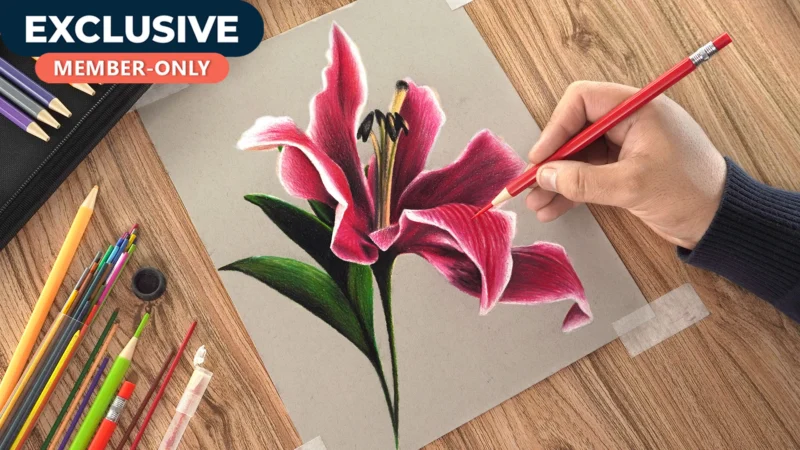 Realistic Lily Flower Drawing!