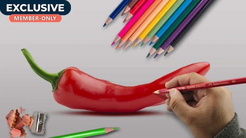 Chilli pepper Drawing with colored pencils