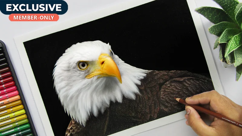 How to draw an Eagle with Colored pencils