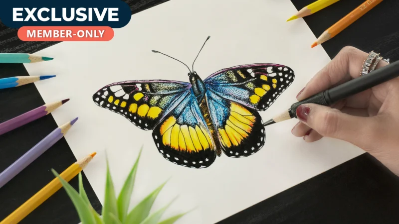 [BONUS] Drawing BUTTERFLY using Pencil Colors