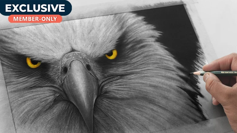 How to Draw Realistic Eagle