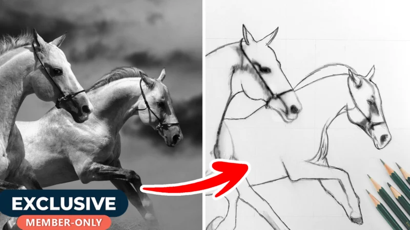 Realistic Horses Drawing – XL