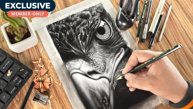 Realistic EAGLE Drawing!