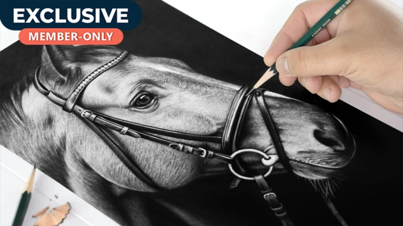 Realistic Horse Drawing – Animal Portrait