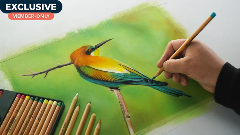 Drawing Colorful Bird using Pastels