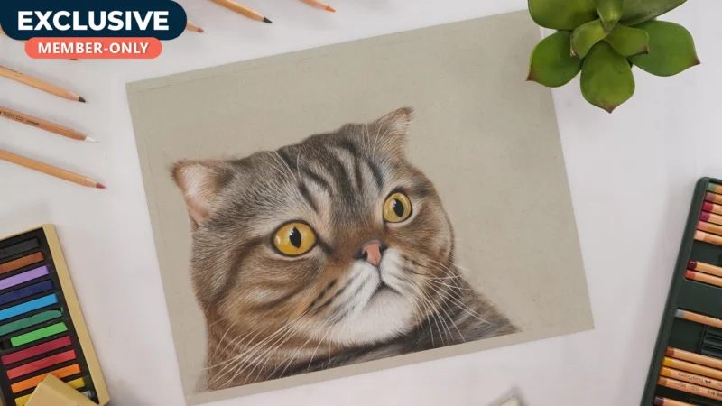 Drawing Lulu The Cat using Pastel Colors