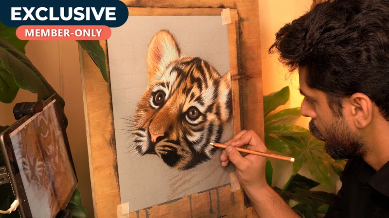 Realistic TIGER using Pastel pencils!