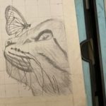 Profile photo of Aly