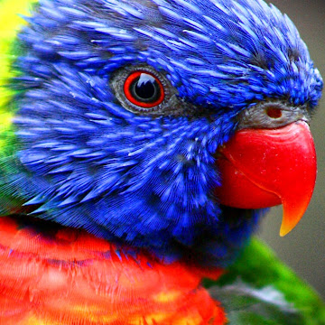 Profile photo of S. Fox