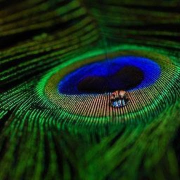 Profile photo of subasreesuresh2000