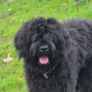 Profile photo of Nicole