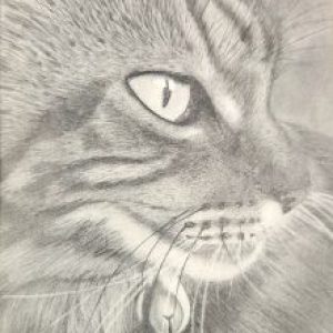 Profile photo of Wayne