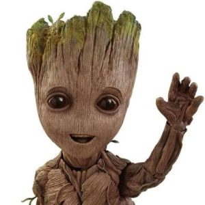 Profile photo of Sébastien