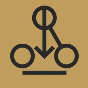 Profile photo of Jesse