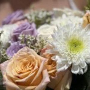 Profile photo of Alexandra