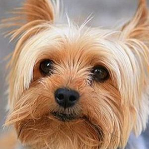 Profile photo of Alex