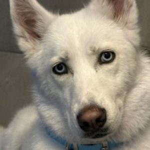 Profile photo of Christina