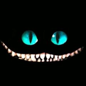 Profile photo of patricia