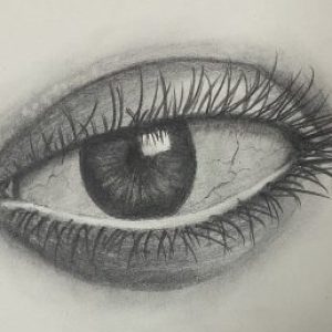 Profile photo of Bridges