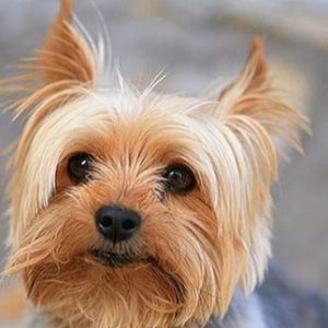 Profile photo of Alexander